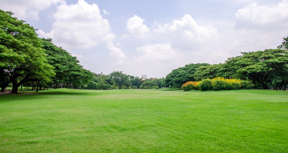 depositphotos 75916811 l